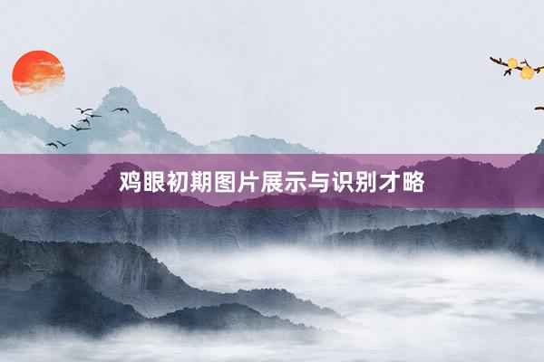 鸡眼初期图片展示与识别才略